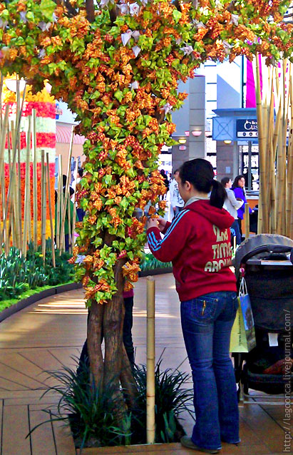 Бамбуковый лес в Ричмондском торговом центре. Blossom at Richmond Centre 